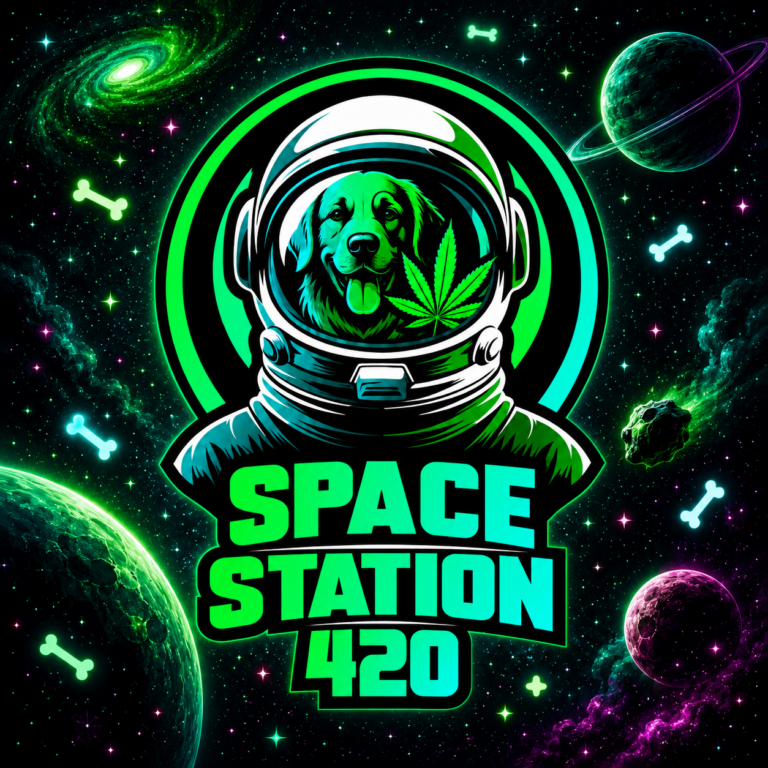 Space Station 420 768x768