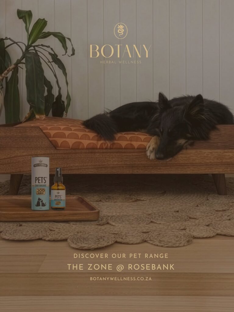 Our pets isolate oil is designed as an all round wellness support for your pet. Formulated to he 1 768x1024