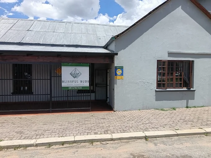 Blissful Buds Store Front