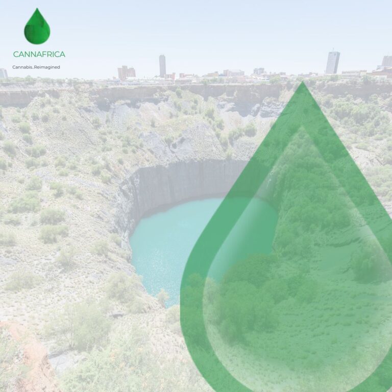CannAfrica Kimberley Post 1 768x768