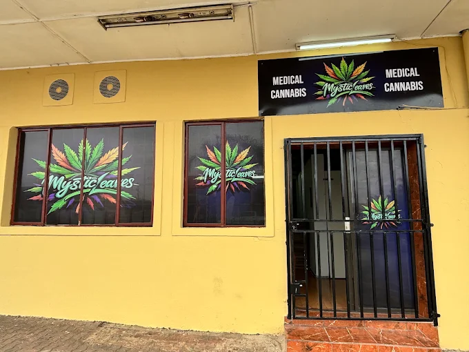 Mystic Leaves Post 1
