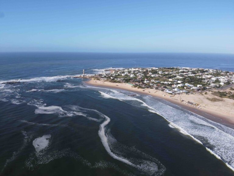 St Francis Bay Bud Bean 768x576