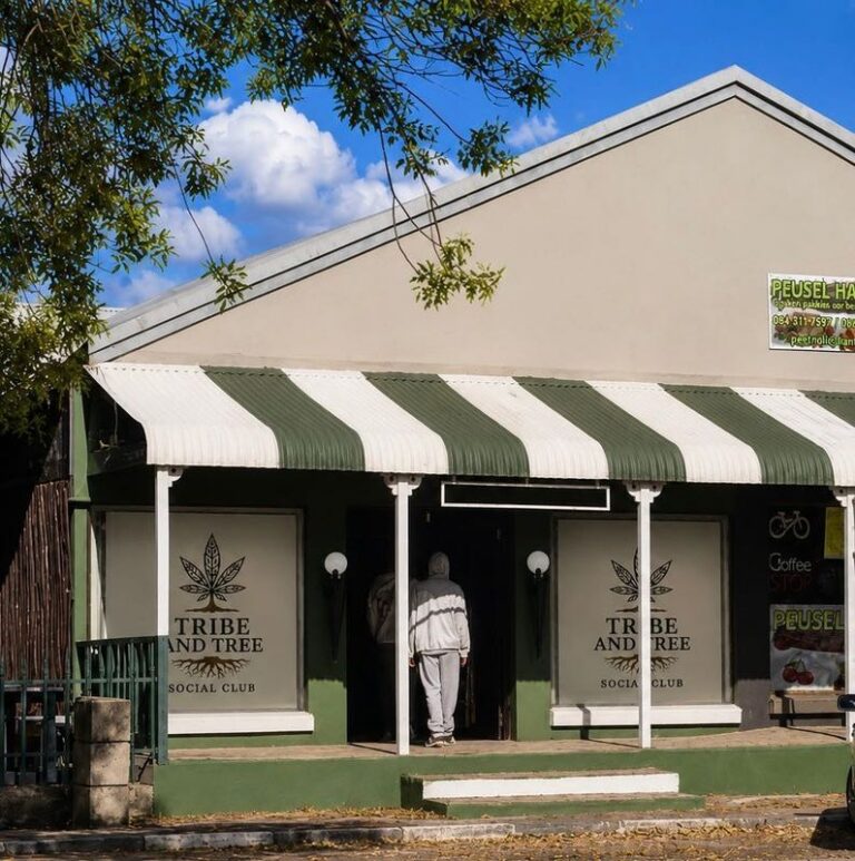 Tribe and Tree Storefront Parys 768x773