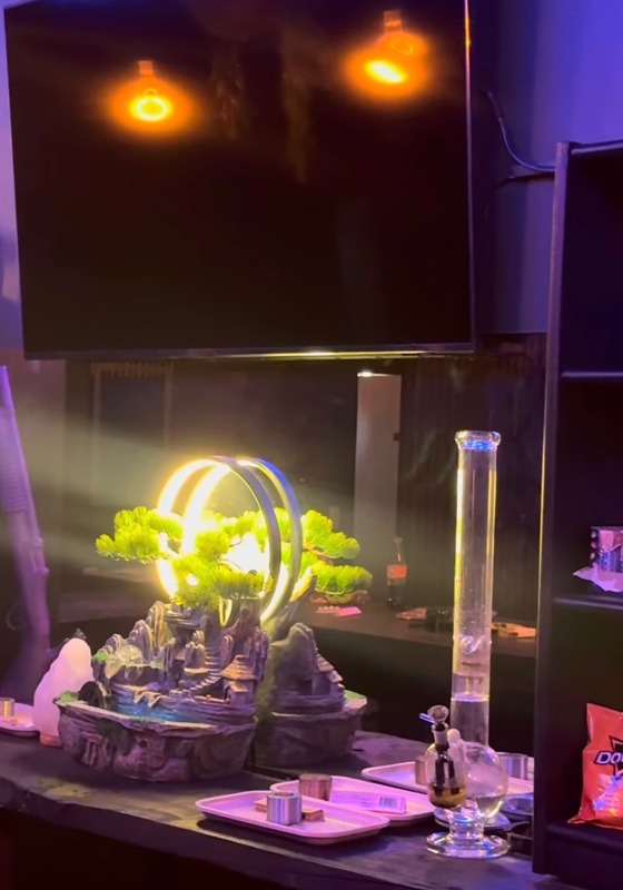 Tribe and Tree Parys TV and bong
