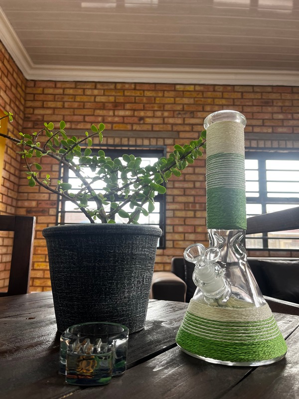 Tribe and Tree Spekboom and wrapped bong Fochville