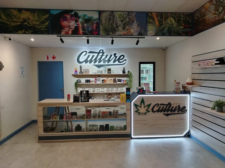 Culture 2 768x576